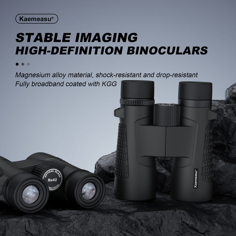 Kaemeasu C Model zwart 10x42 HD waterdichte verrekijker voor volwassenen, verrekijker voor vogels kijken en wandelen, optiek met BAK4 prisma, schokbestendige magnesiumlegering behuizing, helder en scherp zicht